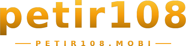 petir108 logo
